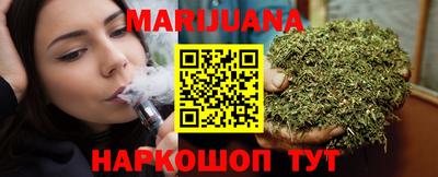 сатива Славгород