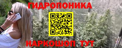 сатива Славгород