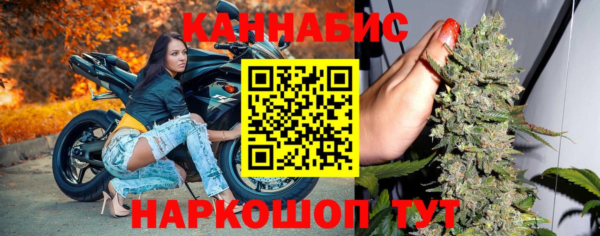 Бошки Шишки индика Орёл